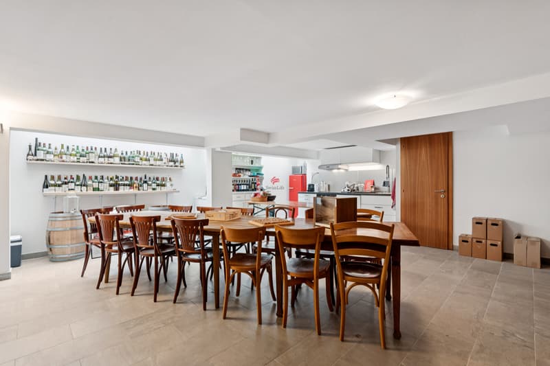 Spacieux appartement au calme avec grand jardin + annexe de 92 m² (8)