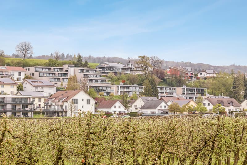 Neue Minergie-Attika (2019) - Hausflair pur! (11)