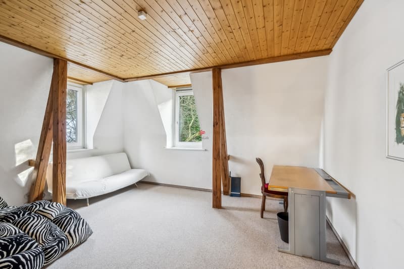 Einzigartige Maisonette in prachtvoller Jugendstilvilla (8)