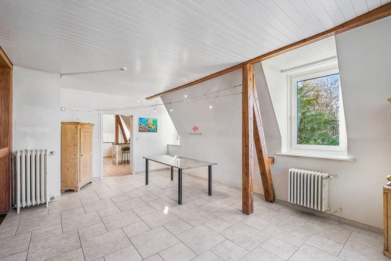 Einzigartige Maisonette in prachtvoller Jugendstilvilla (7)