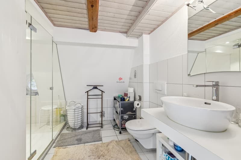 Einzigartige Maisonette in prachtvoller Jugendstilvilla (12)
