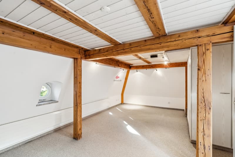Einzigartige Maisonette in prachtvoller Jugendstilvilla (11)