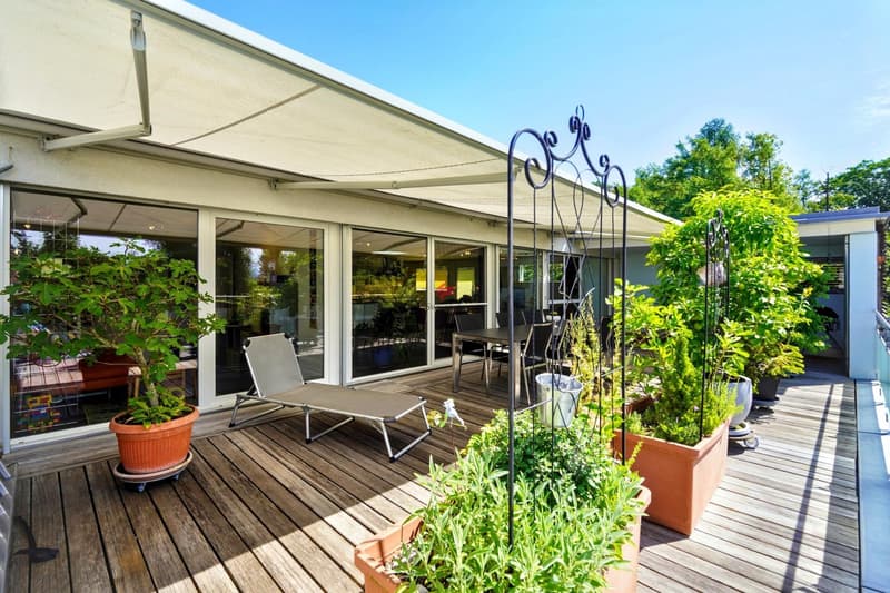 Wohnambiente mit sonniger Terrasse