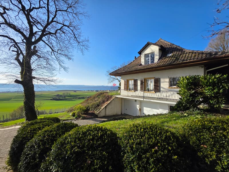 Villa dominante, calme absolu et vue lac (1)