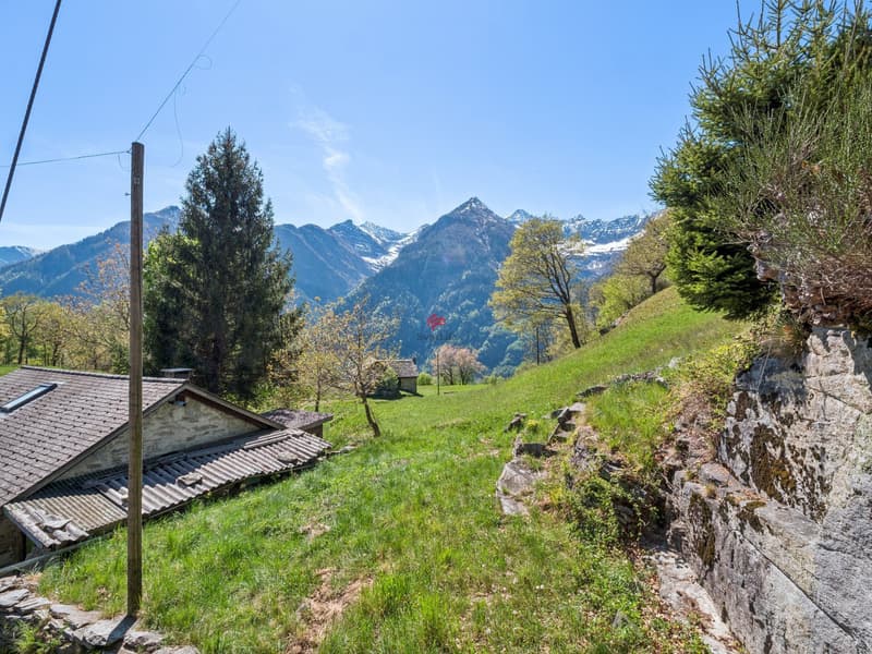 Vacanze nel verde: privacy assoluta e spazio per ritrovare la serenità (10)