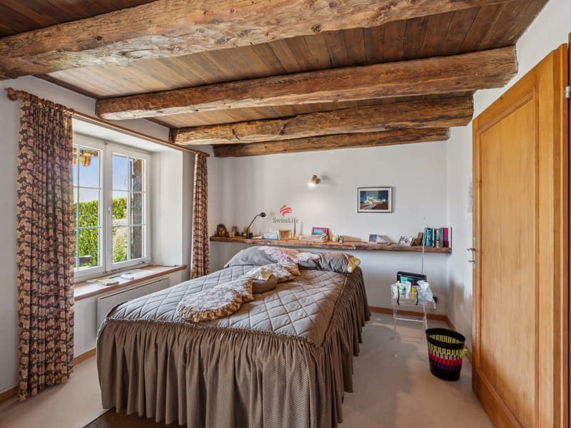 Vacanze nel verde: privacy assoluta e spazio per ritrovare la serenità (4)