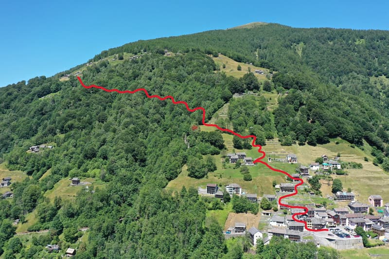 Der ungefähre Wanderweg von Spruga nach Fenéi, zur Hälfte durch den Wald / Il sentiero che da Spruga porta a Fenéi, a meta attraversando il bosco.
