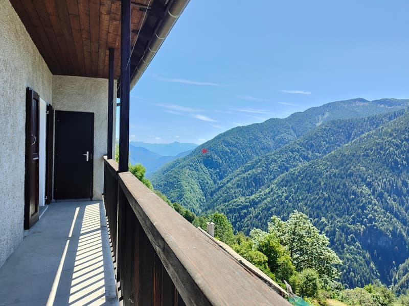 Ab in die Berge! Via in montagna! (2)