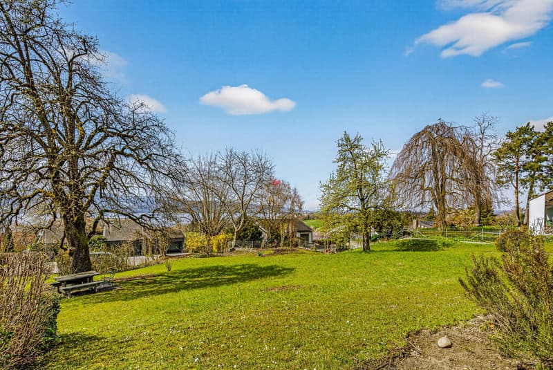 Traumlage am Wildsberg mit Potential (6)