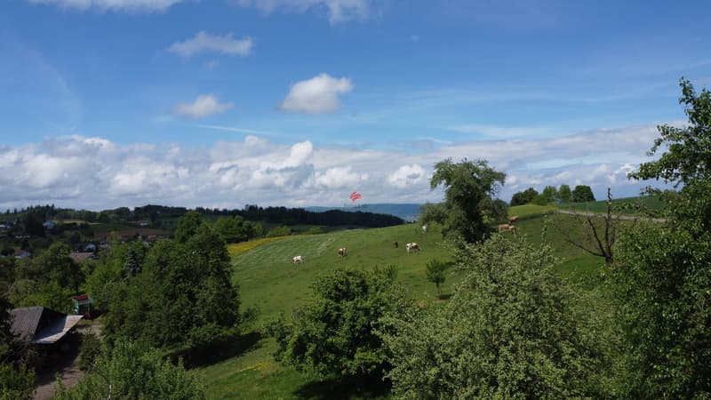 Angrenzende Landwirtschaft