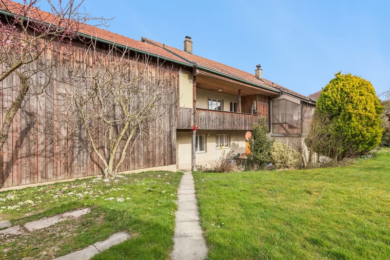 Einfamilienhaus mit 3 Wohneinheiten (10)