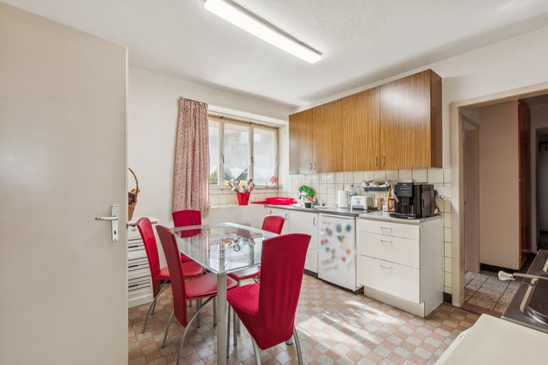 Einfamilienhaus mit 3 Wohneinheiten (6)