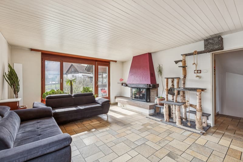 Einfamilienhaus mit 3 Wohneinheiten (3)