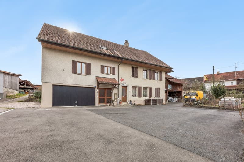 Einfamilienhaus mit 3 Wohneinheiten (2)