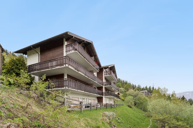 Appartement 2,5 pièces avec belles vues (8)
