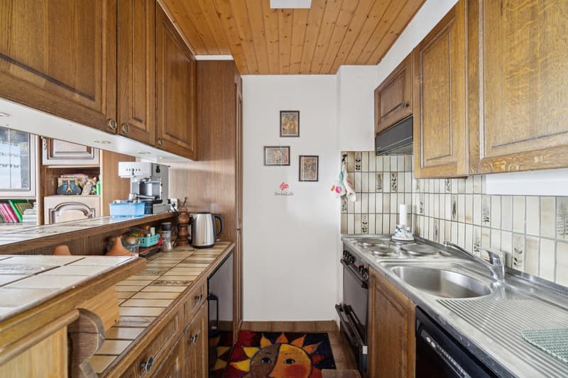 Appartement 2,5 pièces avec belles vues (6)