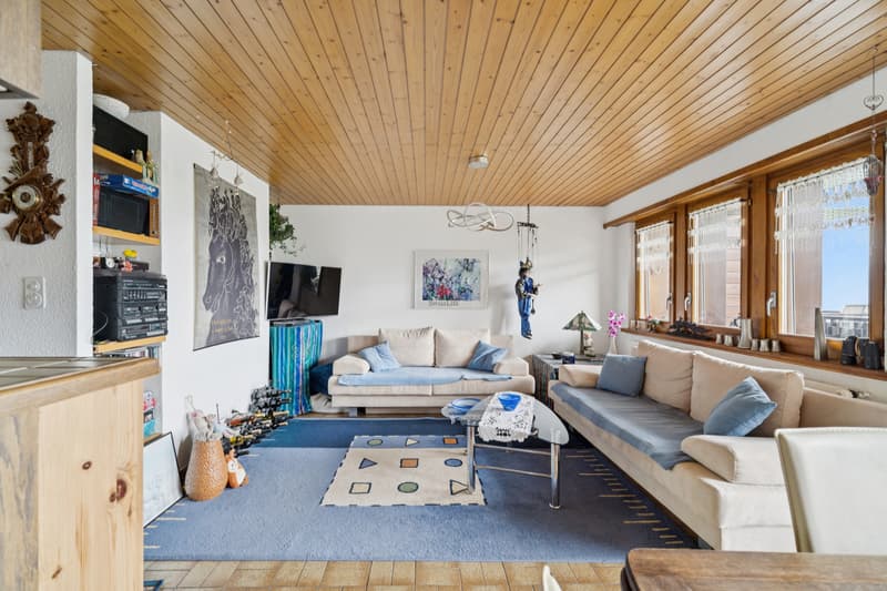 Appartement 2,5 pièces avec belles vues (4)