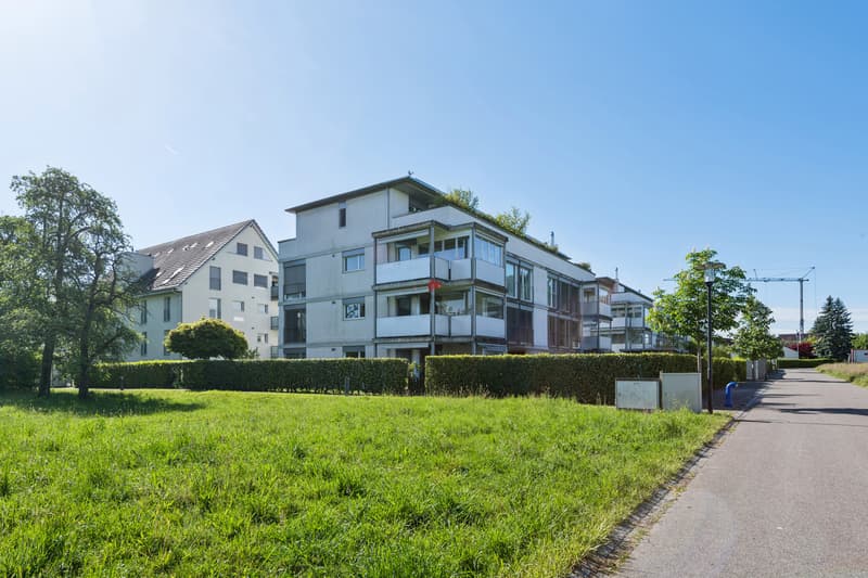 Modern wohnen am Pfalzweg - lichtdurchflutet und ruhig gelegen (10)