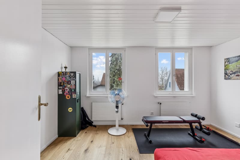 Zwei Mieter. Fünf Stockwerke. Vollständig renoviert. (9)