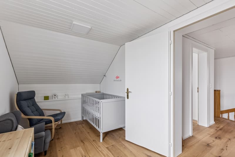 Zwei Mieter. Fünf Stockwerke. Vollständig renoviert. (8)