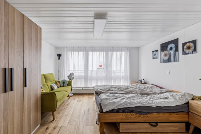 Zwei Mieter. Fünf Stockwerke. Vollständig renoviert. (7)
