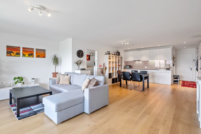 Wohnbeispiel mit beiger Küchenrückwand (Renovationsbeispiel)