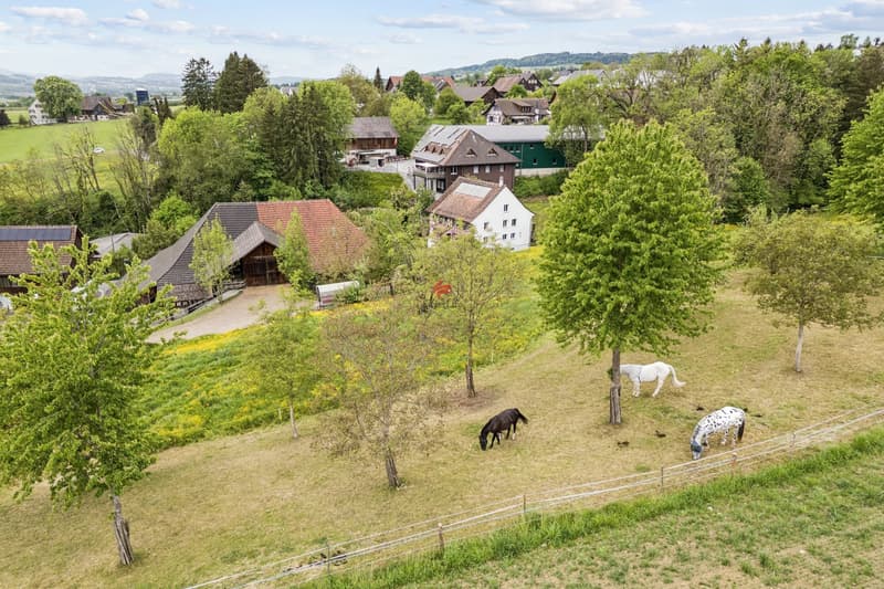 Idyllisches Landleben