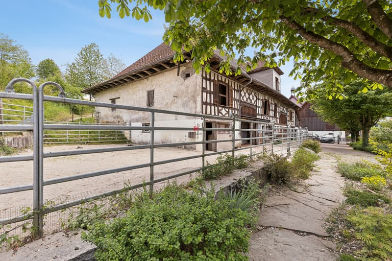 Nordfassade, heutiger Pferdestall mit Auslauf