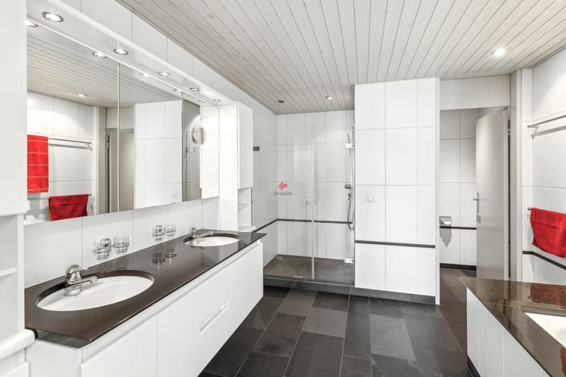 Das grosse Badezimmer mit Dusche, Badewanne und Doppellavabo.