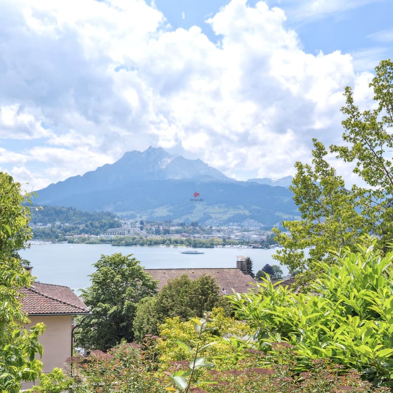 Auf einen Blick