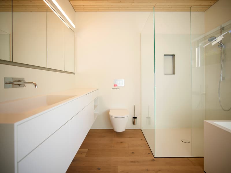 La maison ultime: Top efficience et Top confort (7)