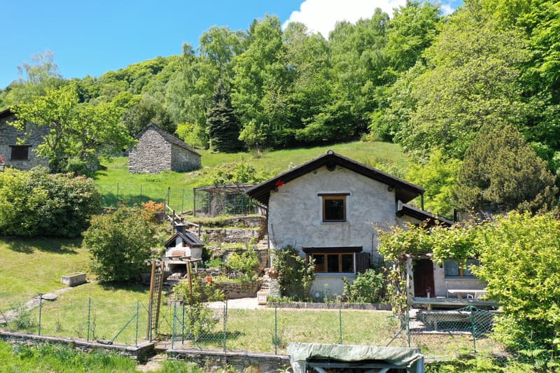 Pizzaofen, Kiwipergola, Gemüsebeet, Blumen - es ist alles da, was das Herz begehrt. / Pizzaofen, Kiwipergola, Gemüsebeet, Blumen - was das Herz begehrt