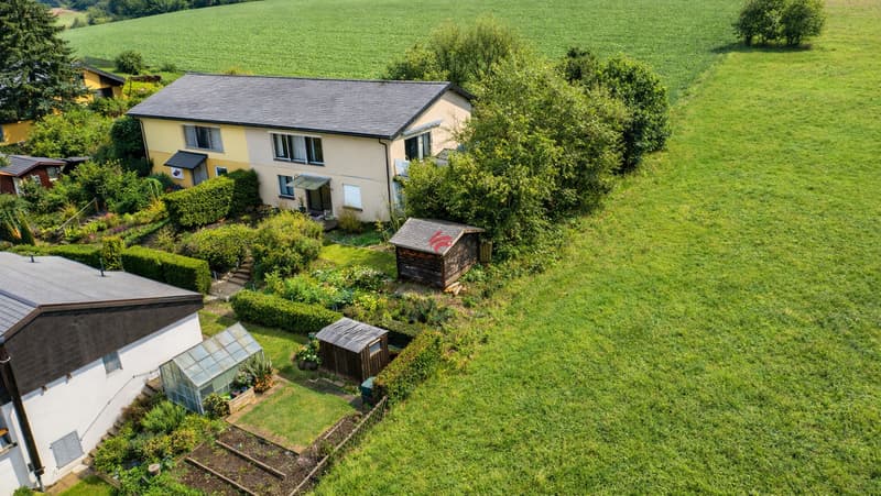 Familienoase im Grünen mit viel Platz (1)