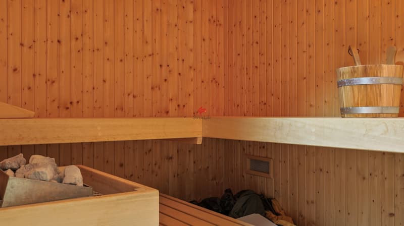 Familienparadies mit Sauna und Fitnessraum (13)
