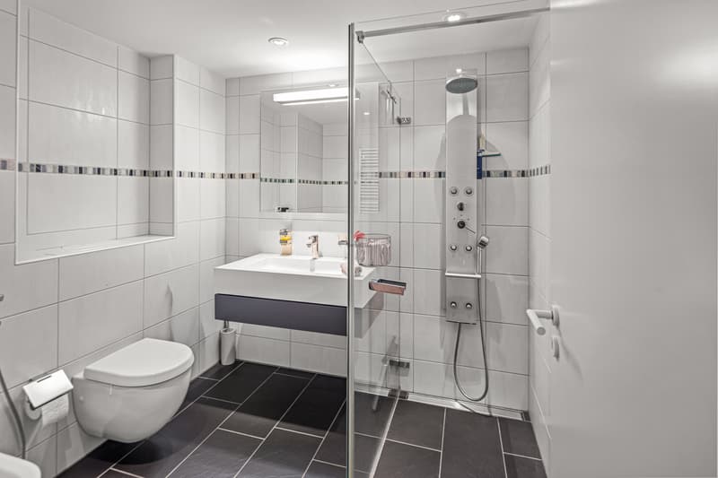 Edle Attika-Wohnung mit 80 m² Terrasse (8)