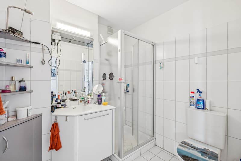Maisonette mit Sonne und Stadtfeeling - Zofingen pur (8)