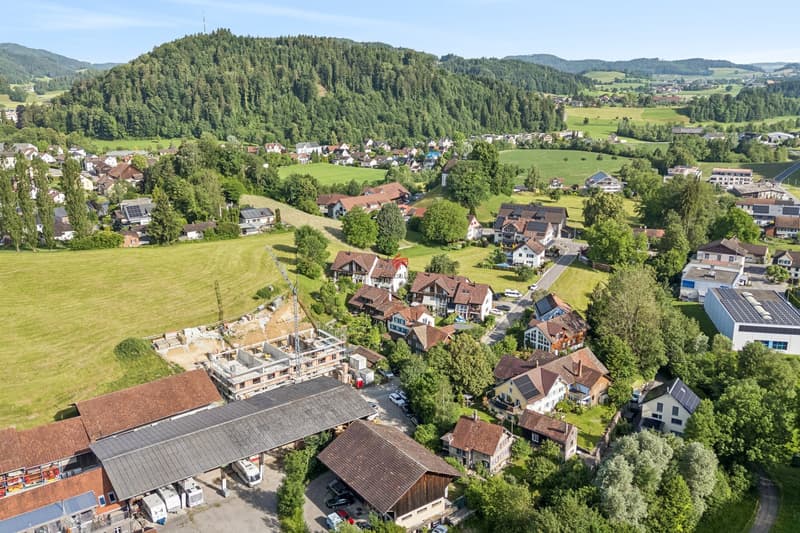 NEUBAU Schont das Budget - freut das Herz (3)