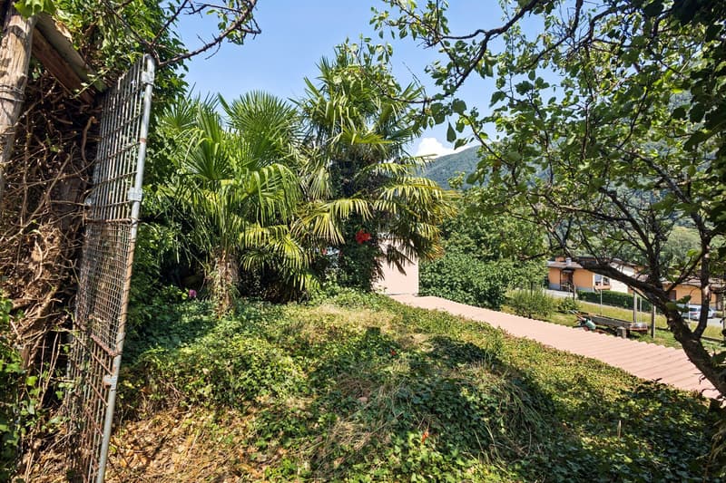 Il mio sogno? La mia casa! (3)