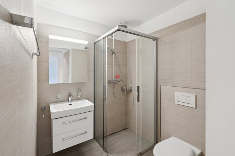 Hochwertige Dachwohnung mit Weitblick (8)