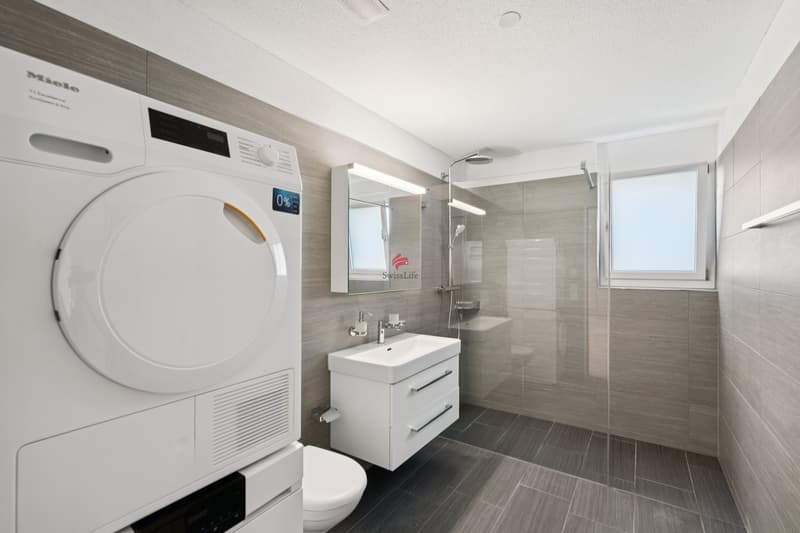 Hochwertige Dachwohnung mit Weitblick (9)