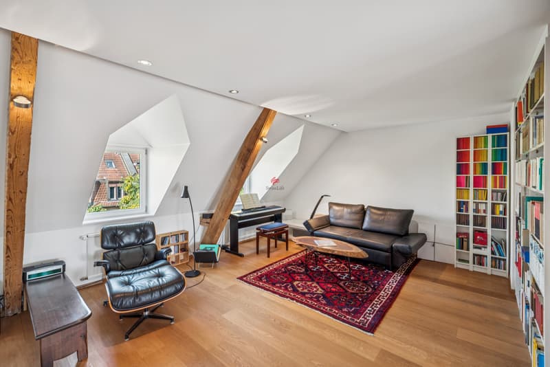Modernes Wohnen in Basel - in Rhein Nähe (6)