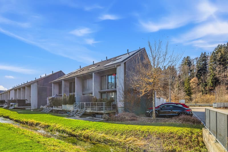Das Traumhaus in Winterthur - Turbenthal! (2)