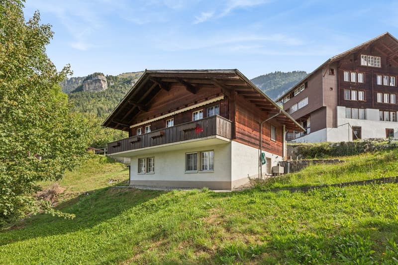 Erholungsoase zwischen Berner Voralpen und Brienzersee! (1)