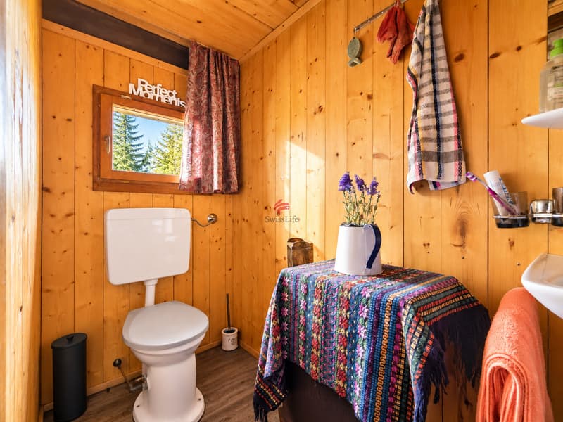 Chalet au coeur de la nature (5)