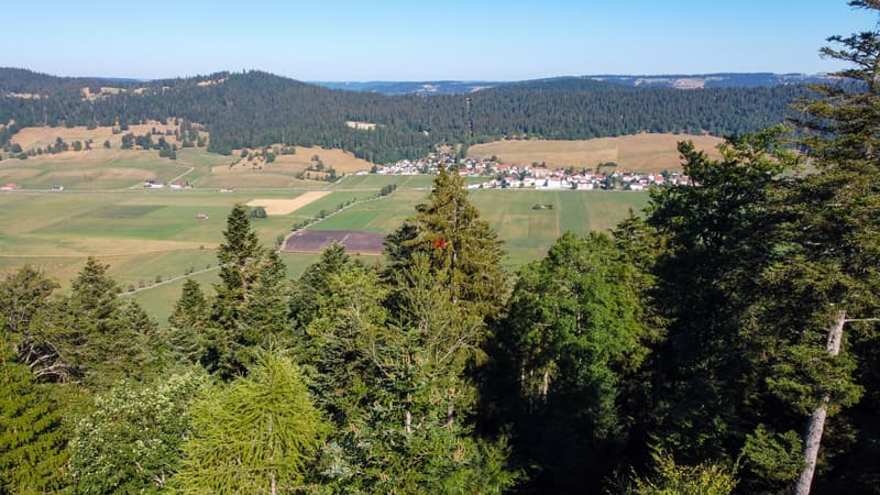 Chalet au coeur de la nature (13)