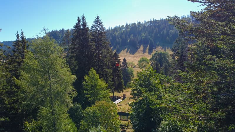 Chalet au coeur de la nature (11)