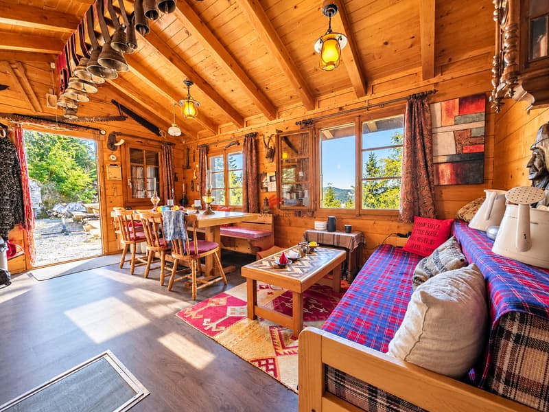 Chalet au coeur de la nature (3)