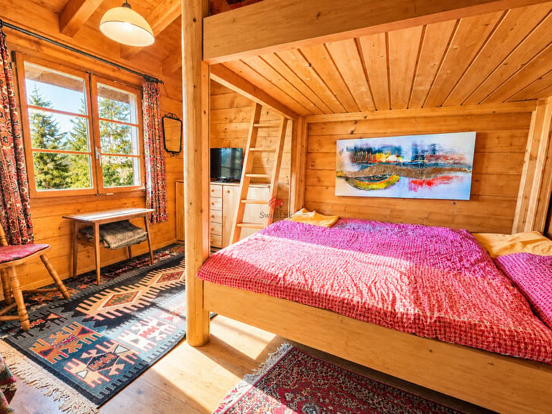 Chalet au coeur de la nature (4)