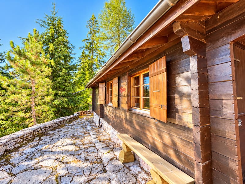 Chalet au coeur de la nature (8)