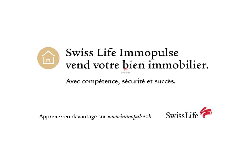 Prix attractif - Promotion de 4 villas au Grand-Saconnex! (12)